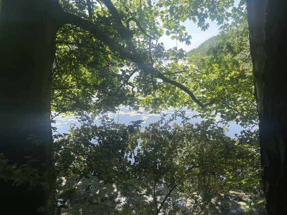 Fotografie: Asceline Groot