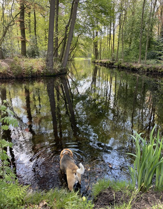 Fotografie: Asceline Groot