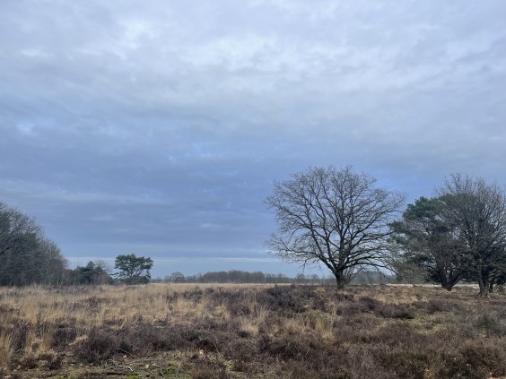 Fotografie: Asceline Groot