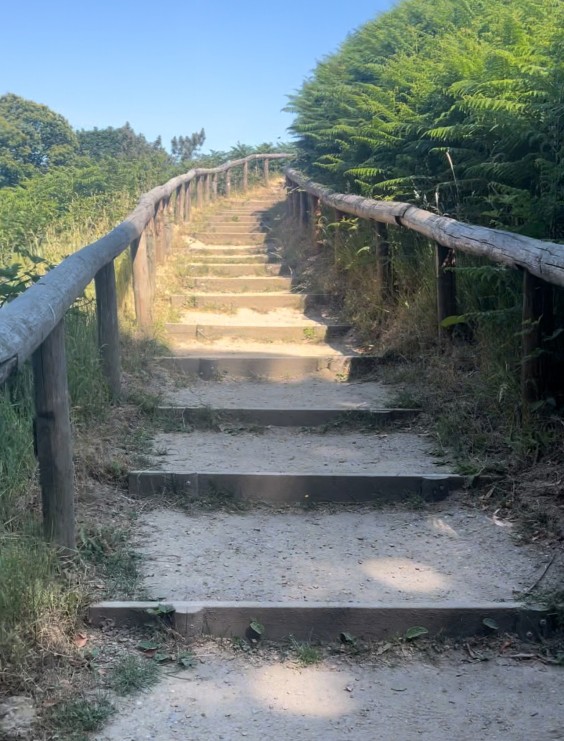 Fotografie: Asceline Groot