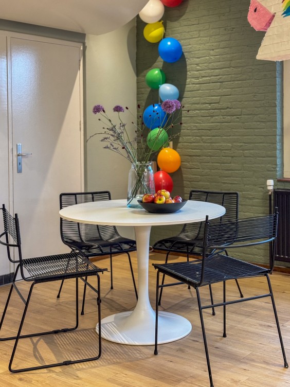 Metamorfose dorpshuis Theo-Bert Pot