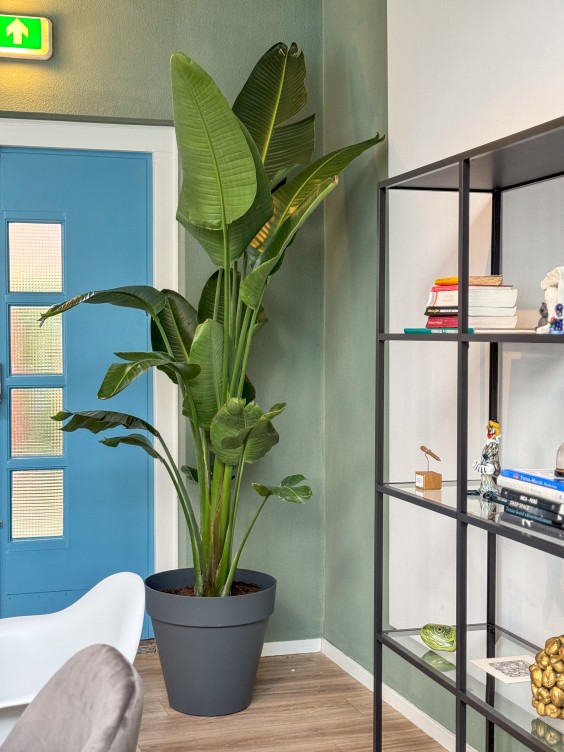 Metamorfose woonkamer Theo-Bert Pot