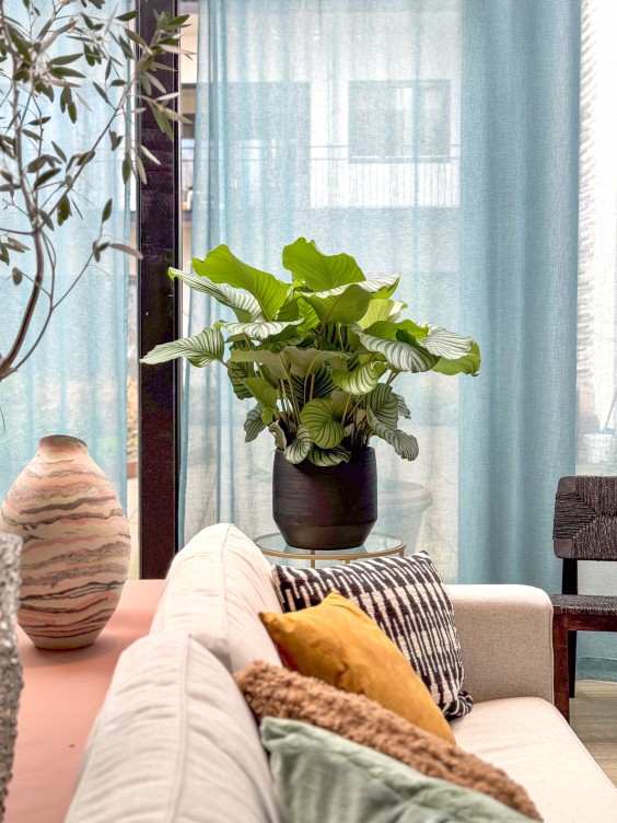 Metamorfose woonkamer Theo-Bert Pot