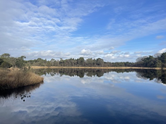 Fotografie: Asceline Groot