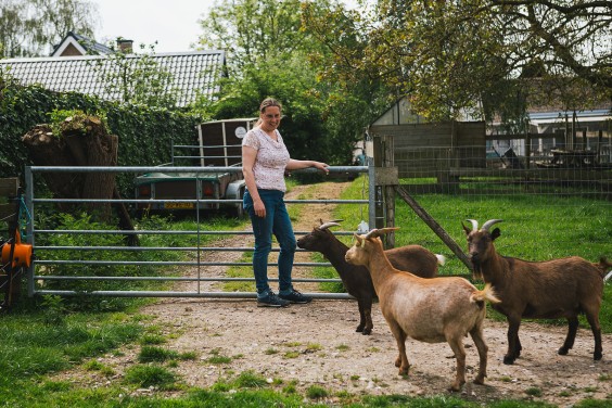 Lammetjes Bergambacht | Fotografie: Roos Eijmers