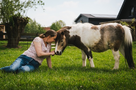 Lammetjes Bergambacht | Fotografie: Roos Eijmers