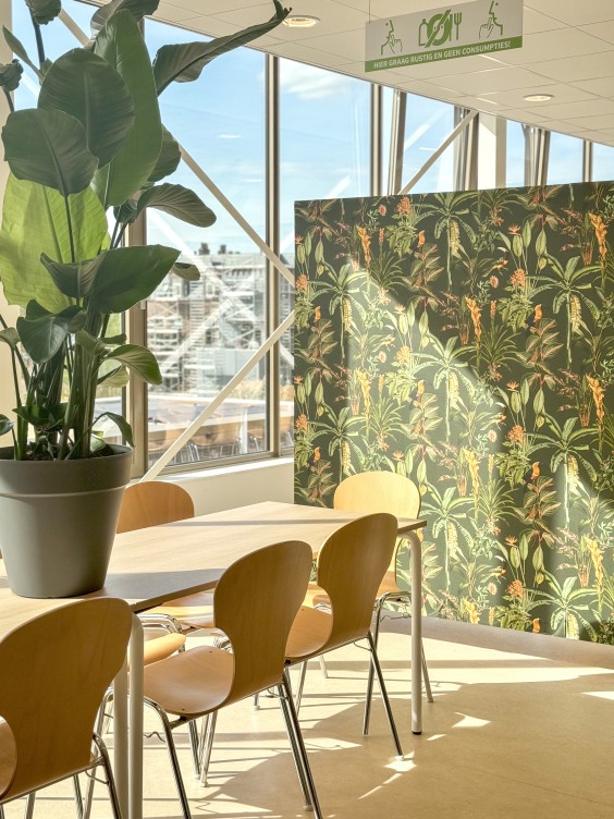 Metamorfose school met Theo-Bert Pot