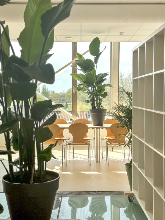 Metamorfose school met Theo-Bert Pot