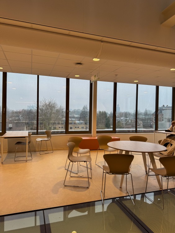 Metamorfose school met Theo-Bert Pot