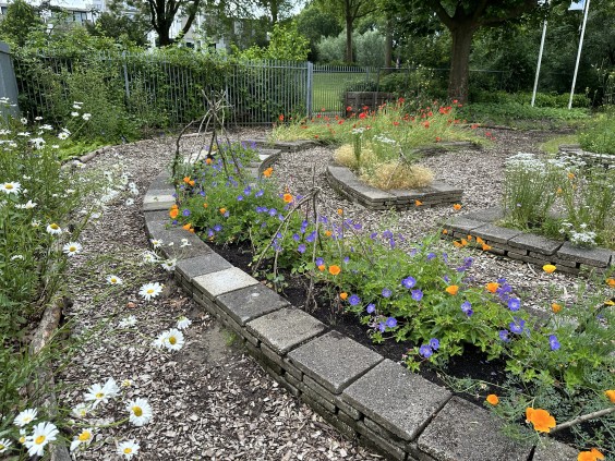 Schoolplein Dordrecht