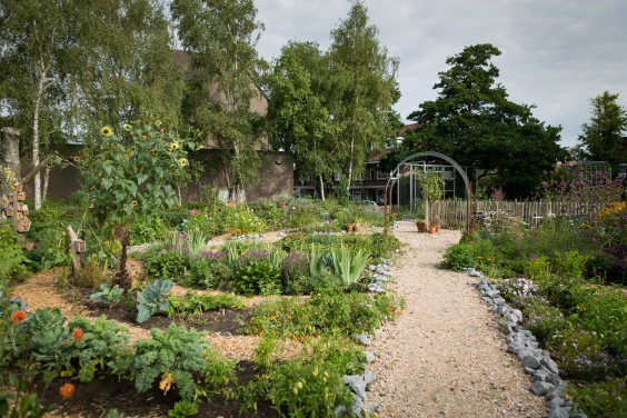 Moestuin Vlaaringen | Roos Eijmers