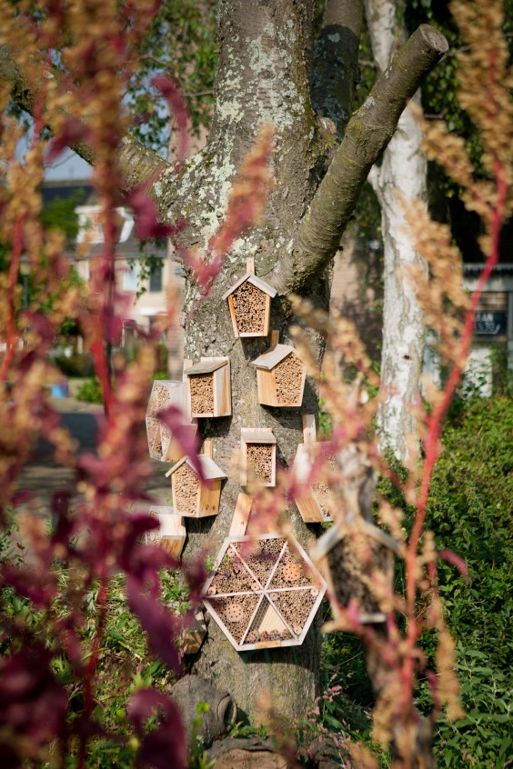 Moestuin Vlaaringen | Roos Eijmers