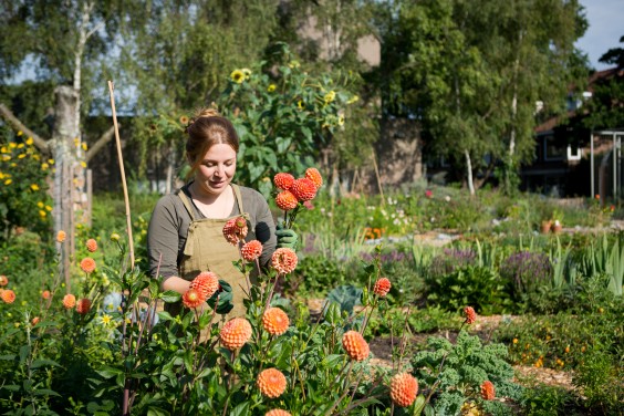 Moestuin Vlaaringen | Roos Eijmers