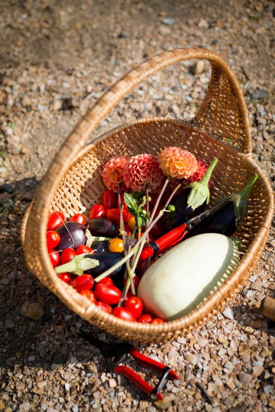Moestuin Vlaaringen | Roos Eijmers