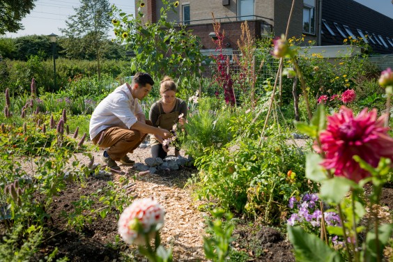 Moestuin Vlaaringen | Roos Eijmers