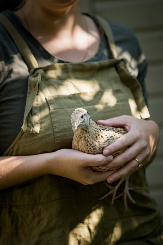 Moestuin Vlaaringen | Roos Eijmers