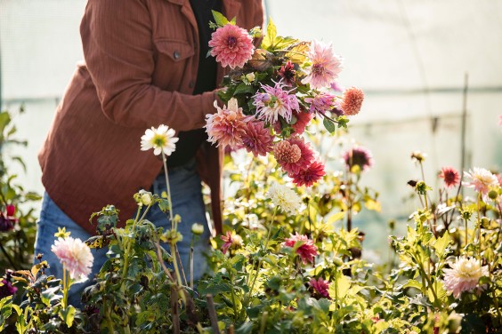 Plantenparadijs Dieren | Liesbeth Disbergen