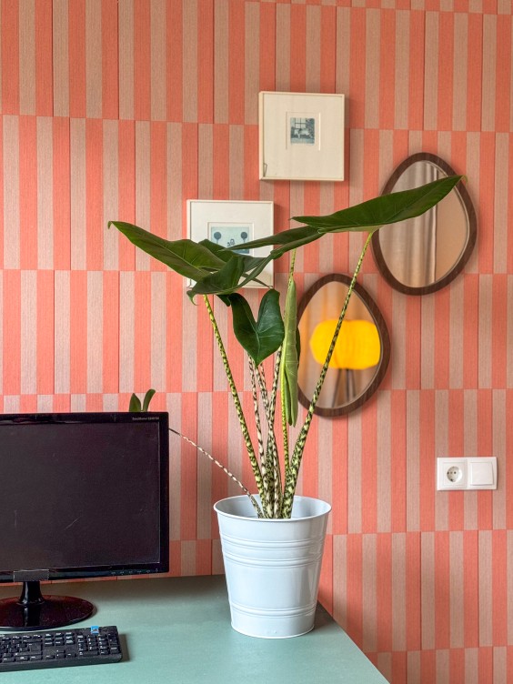 Metamorfose tuinkamer Theo-Bert Pot