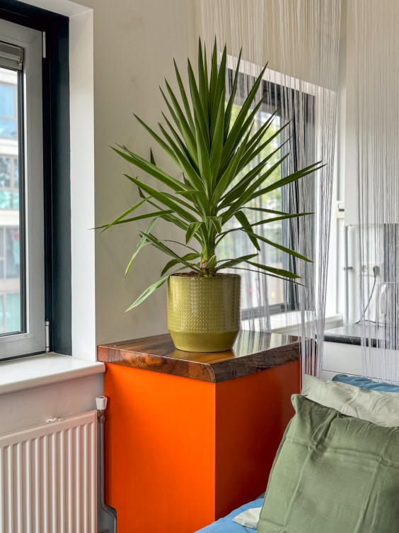 Metamorfose studio Theo-Bert Pot