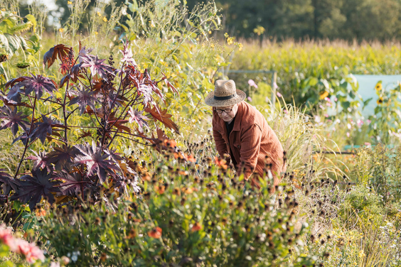 Plantenparadijs Dieren | Liesbeth Disbergen