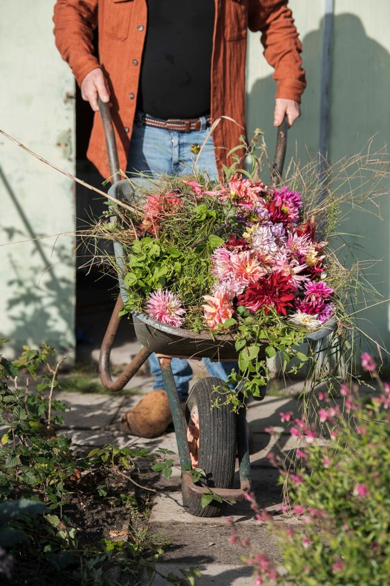 Plantenparadijs Dieren | Liesbeth Disbergen