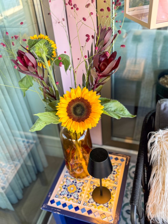 Metamorfose terras - Theo-Bert Pot