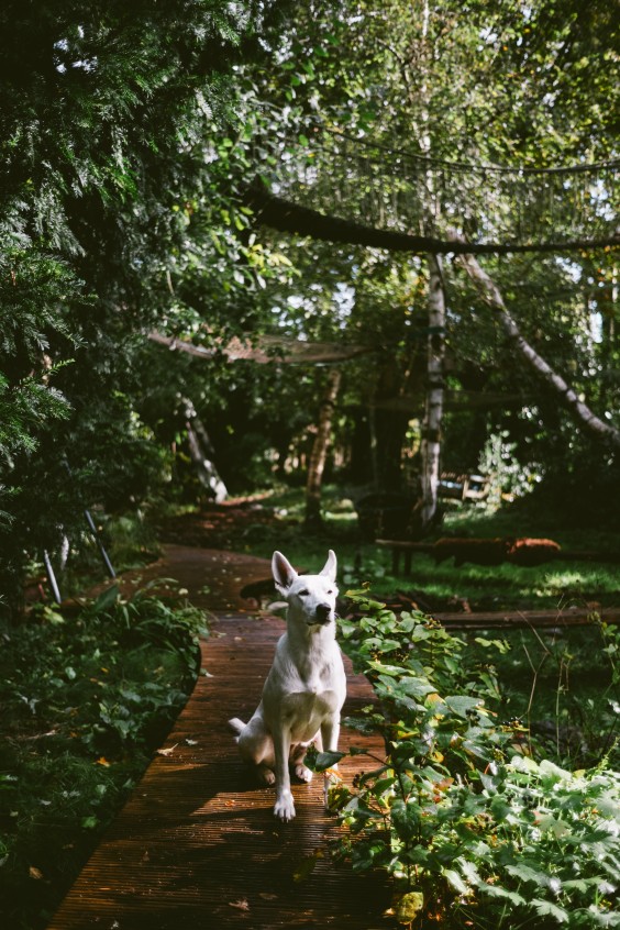 Bijzondere boomhut - Foto: Marjon Lukje