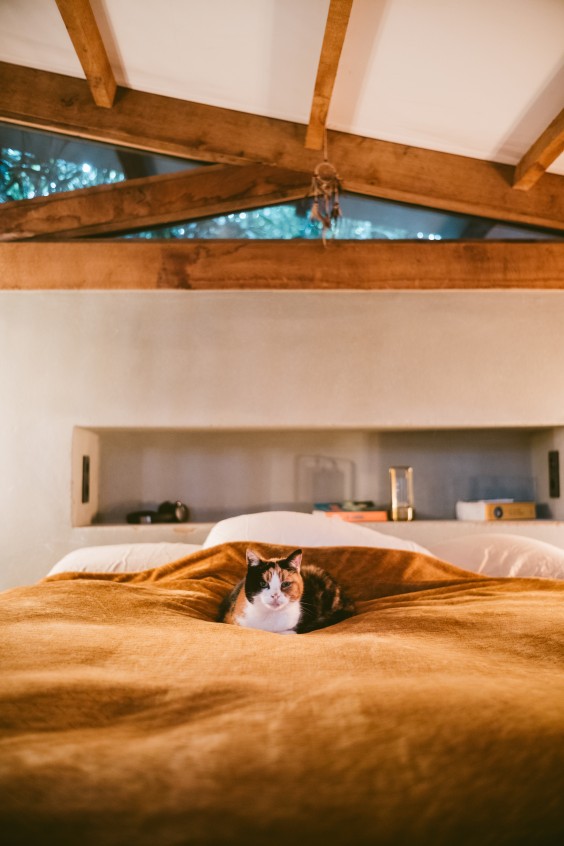 Bijzondere boomhut - Foto: Marjon Lukje