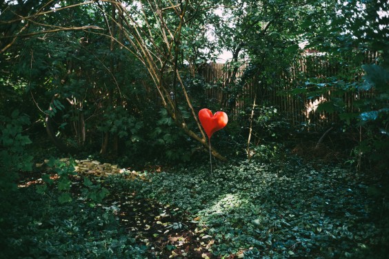 Bijzondere boomhut - Foto: Marjon Lukje