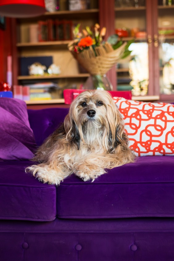 Kleurrijk appartement Gouda - Fotografie: Roos Eijmers