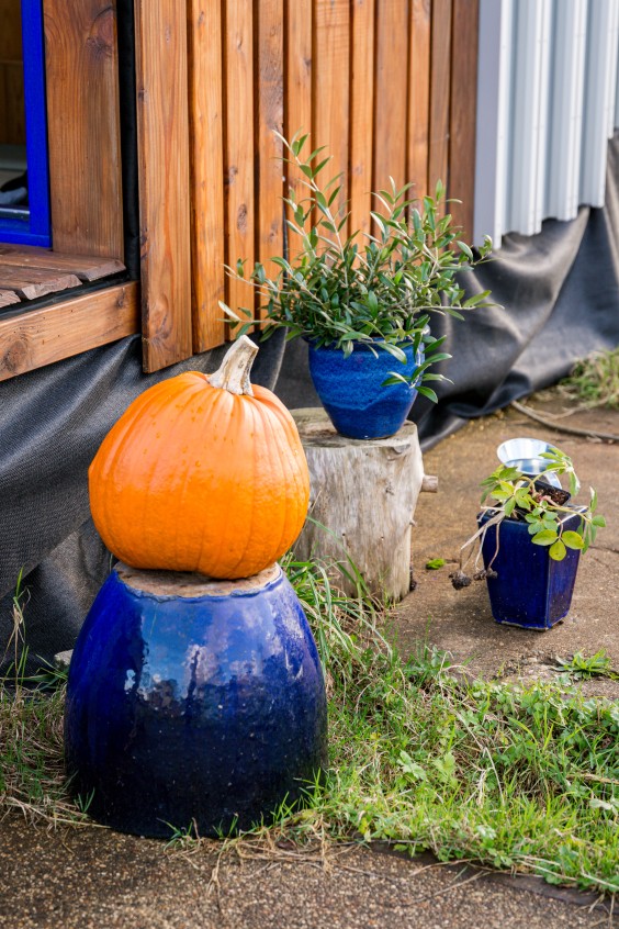 Eva woont in haar zelfgebouwde tiny house van 15 vierkante meter met slimme woonoplossingen | Foto: Roos Eijmers