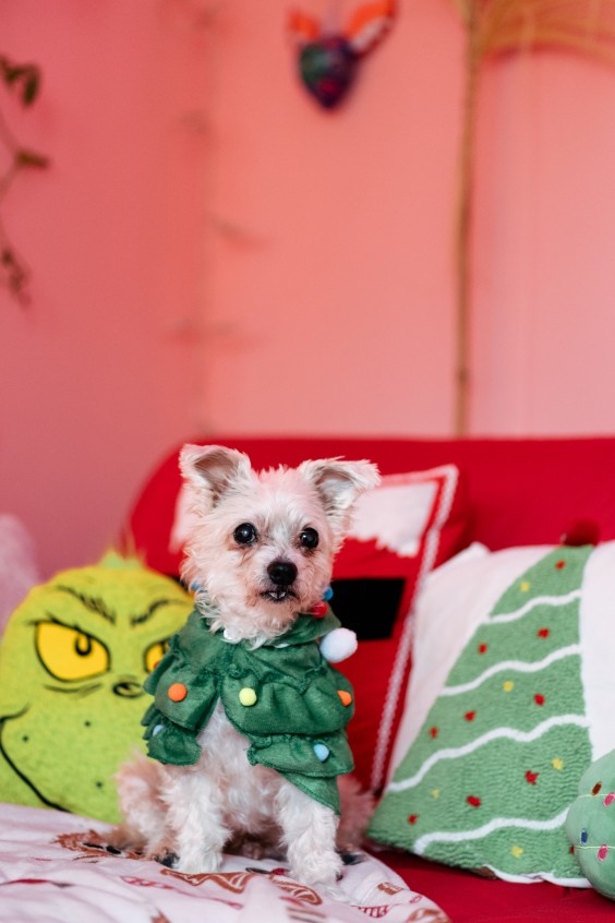 roze kersthuis | Marjon Lukje