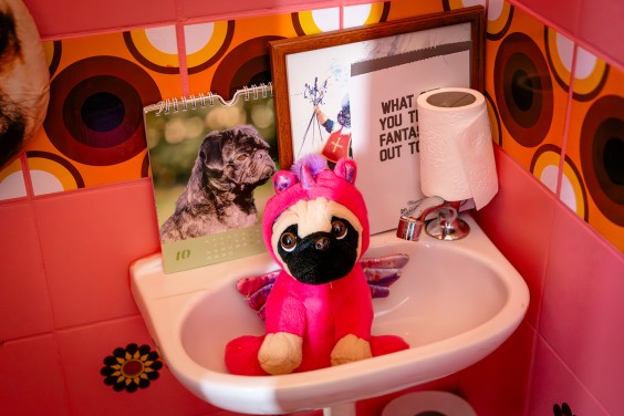 Kleurrijk interieur Hellevoetsluis | Fotografie: Roos Eijmers