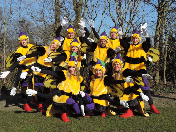 Carnavalsvereniging ‘De Bixe Droake’ | Foto: Willem van der List