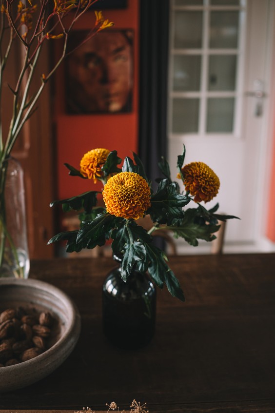 Oude dijkwoning met retro interieur | Fotografie: Sheena Schouwink