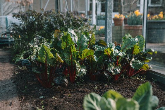 Oude dijkwoning met retro interieur | Fotografie: Sheena Schouwink