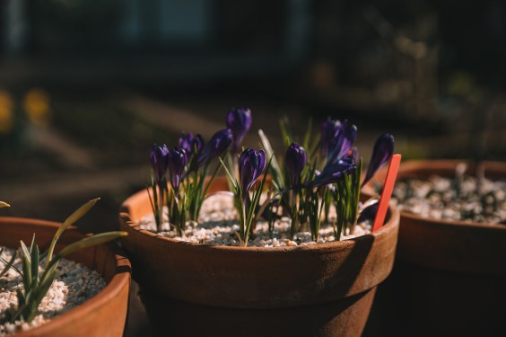 Oude dijkwoning met retro interieur | Fotografie: Sheena Schouwink
