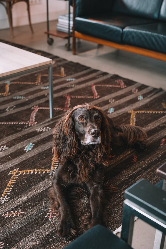 Oude dijkwoning met retro interieur | Fotografie: Sheena Schouwink