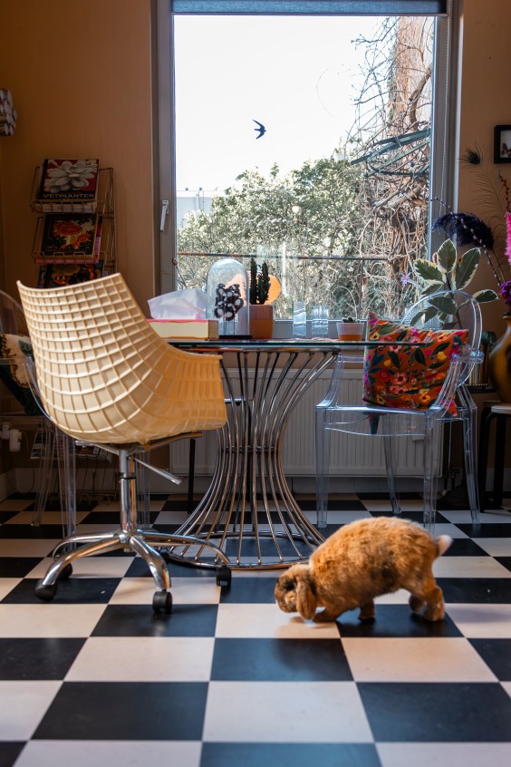 Kleurrijk interieur Den Haag | Foto: Roos Eijmers