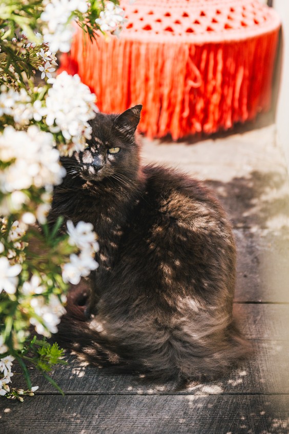 Huis vol creativiteit | Fotografie: Roos Eijmers