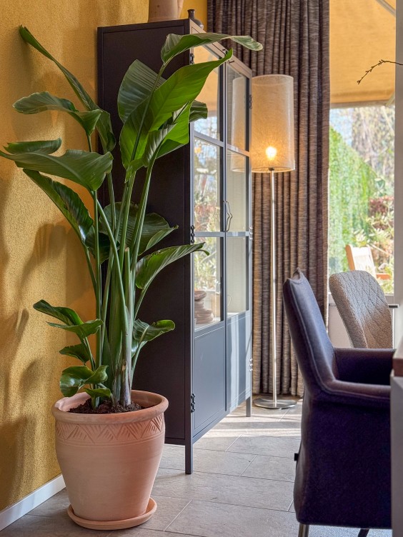 Make-over eetkamer in Dordrecht door Theo-Bert Pot | Foto: BinnensteBuiten