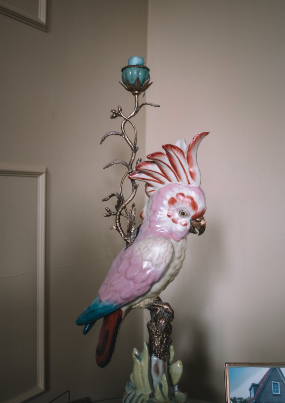 Vera en Yves wonen in hun droomhuis in Velsen-Zuid | Foto: Sheena Schouwink