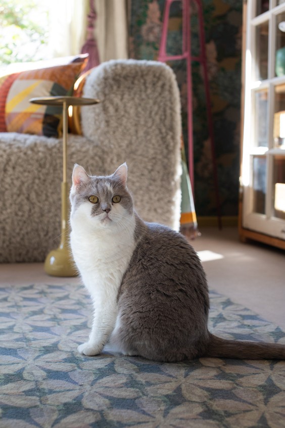 Kleurrijk paradijs Wijk aan Zee | Fotografie: Sheena Schouwink