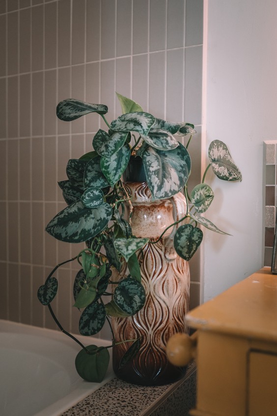 Kleurrijk paradijs Wijk aan Zee | Fotografie: Sheena Schouwink