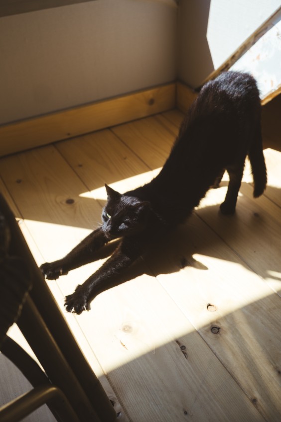 Friese arbeidershuisje | Marjon Lukje