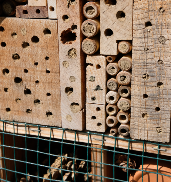 Insectenhotel | Foto: Sofie Spijker