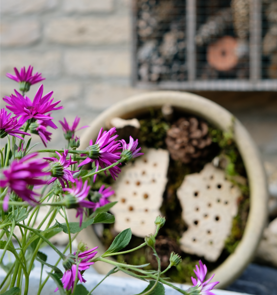 Insectenhotel | Foto: Sofie Spijker