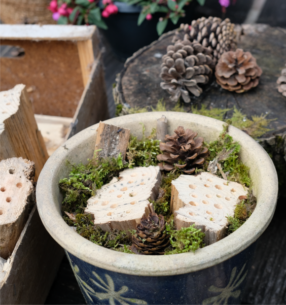 Insectenhotel | Foto: Sofie Spijker