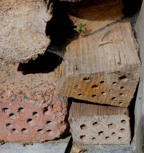 Insectenhotel | Foto: Sofie Spijker