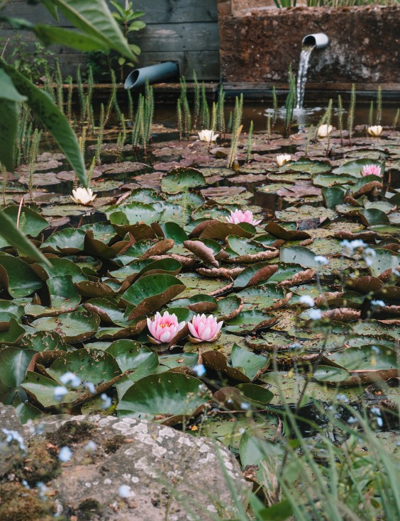 Kleurrijke boerderij | Fotografie: Sheena Schouwink